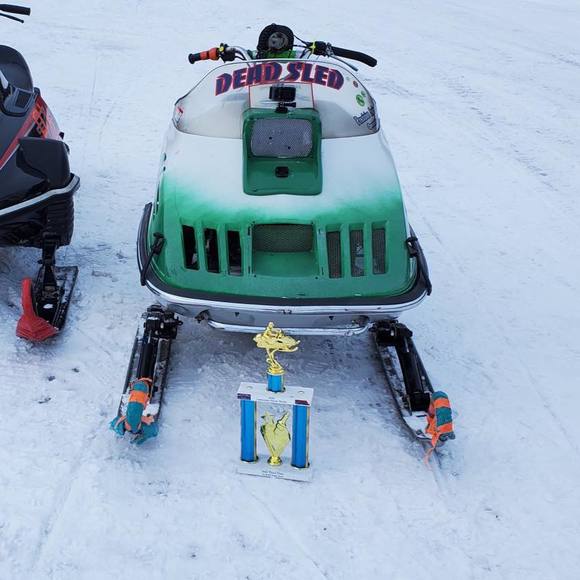 Meet your Posher, Brody - Picture 1 of 1